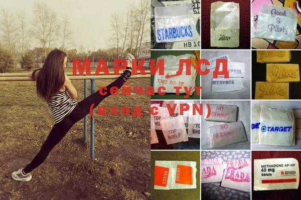 спиды Бугульма