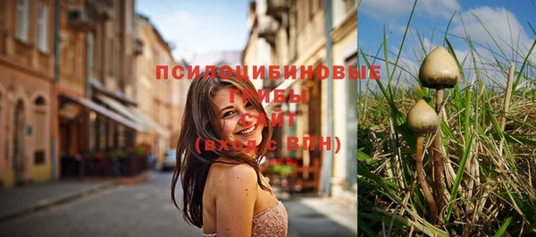шишки Бронницы