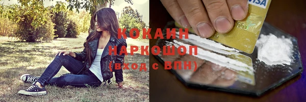 шишки Бронницы